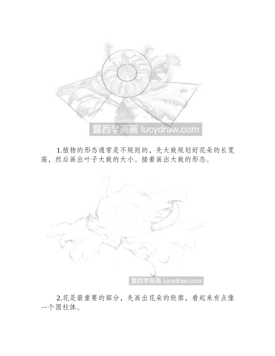 素描画菊花步骤教程素描教程_第2页