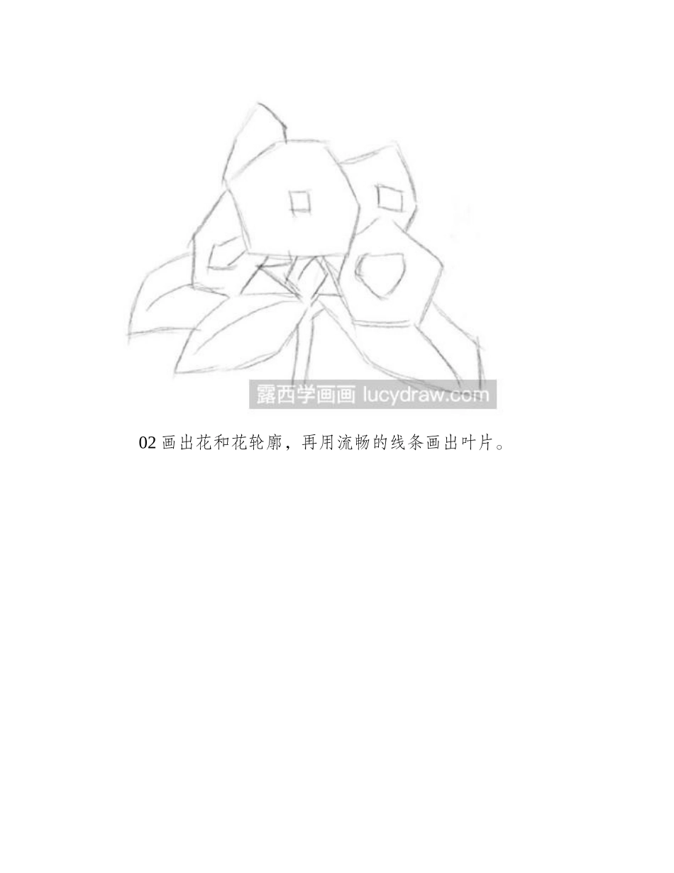 素描教程：怎么画杜鹃花素描教程1_第2页