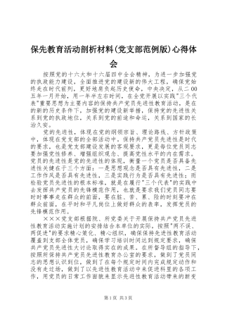 保先教育活动剖析材料(党支部范例版)心得体会