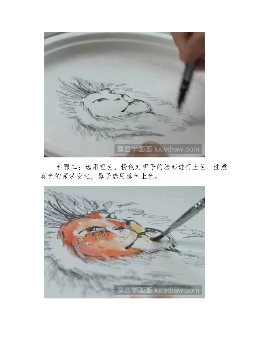 狮子水粉画教程水粉画教程_第2页