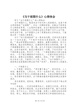 《当干部图什么》心得体会