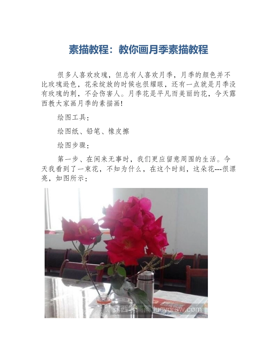 素描教程：教你画月季素描教程_第1页