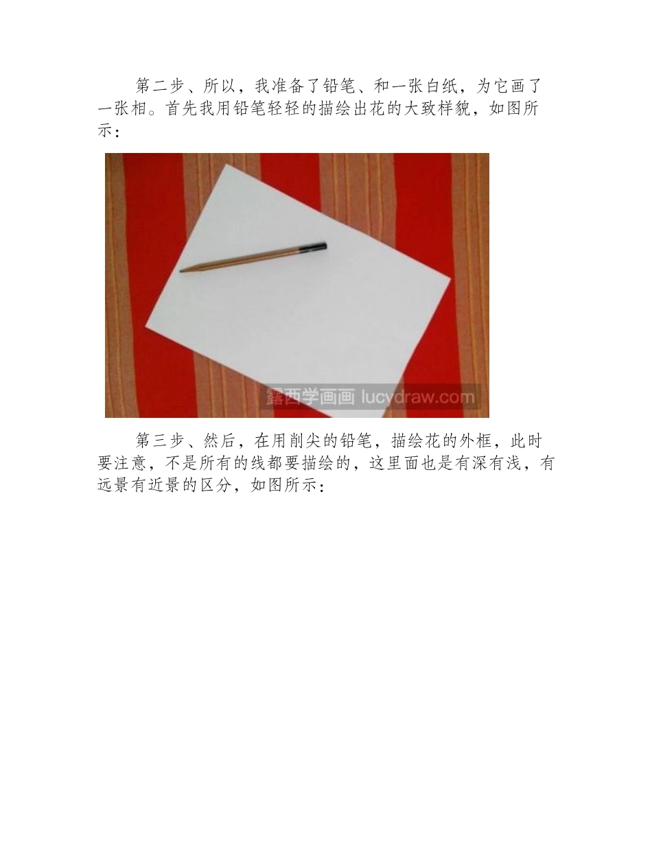素描教程：教你画月季素描教程_第2页
