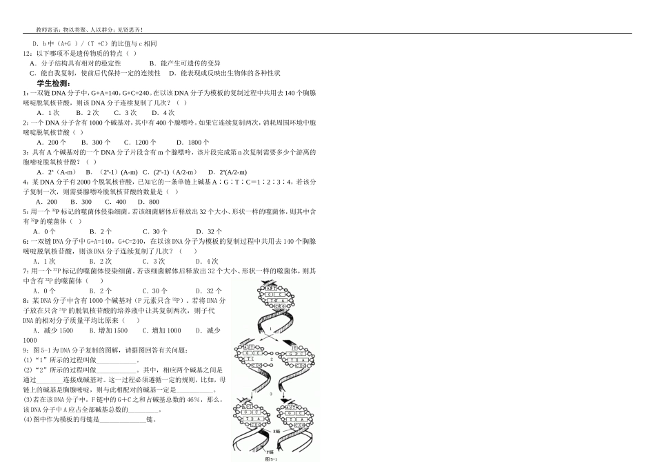 DNA的复制自学案使用版_第2页