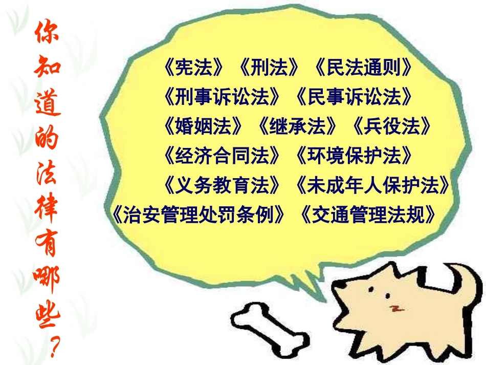知法守法班会_第3页