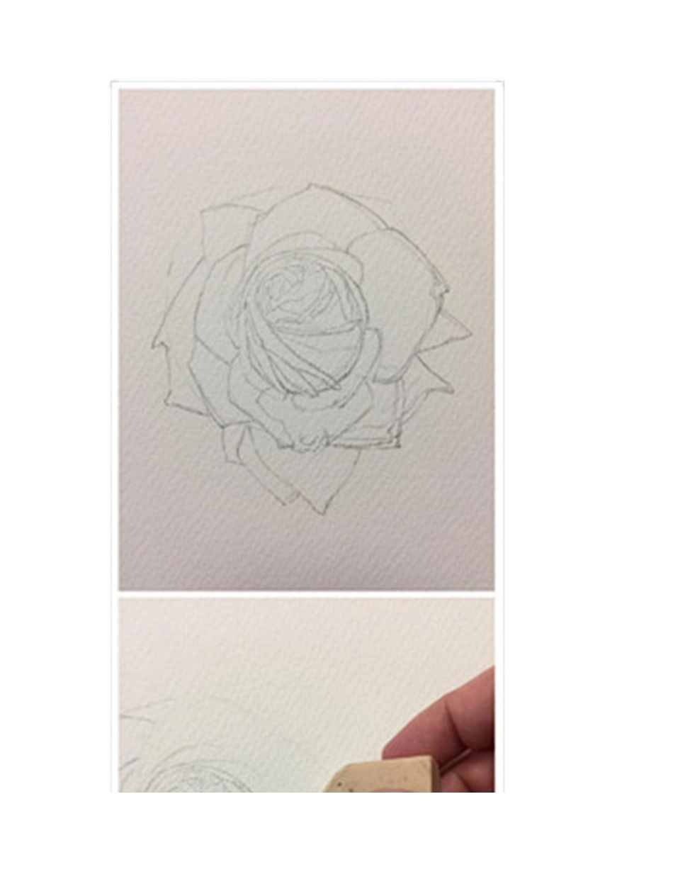 水彩画玫瑰教程水彩画教程1_第2页