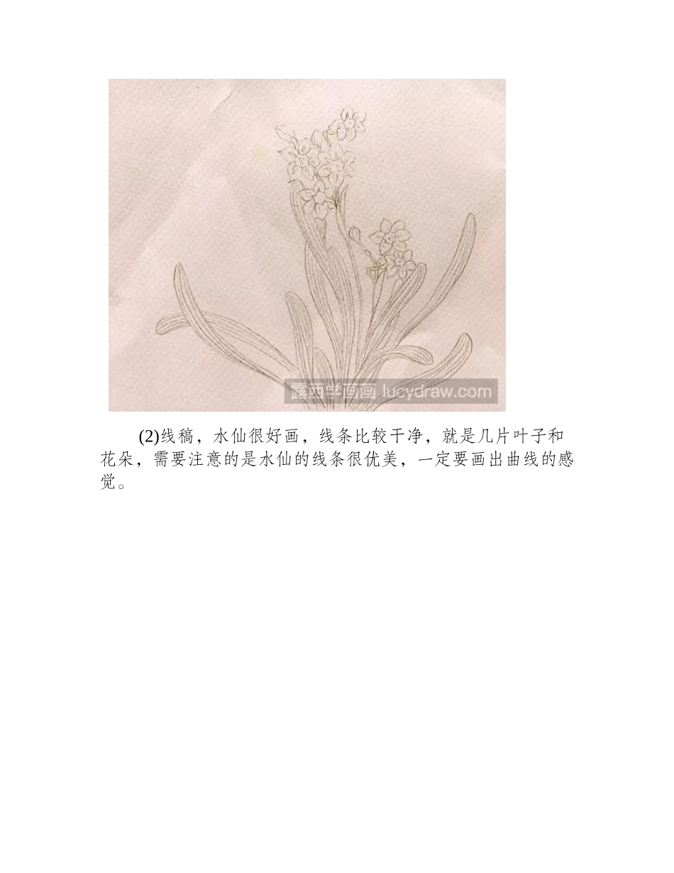 水彩画水仙花步骤教程水彩画教程_第2页