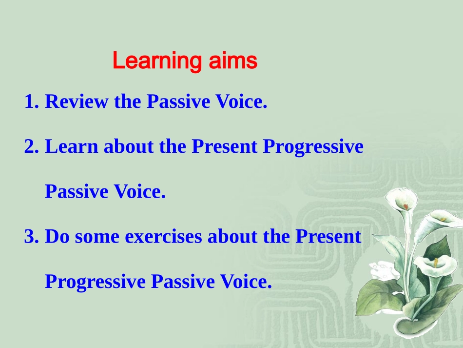 必修二Unit4LearningaboutLanguage_第2页
