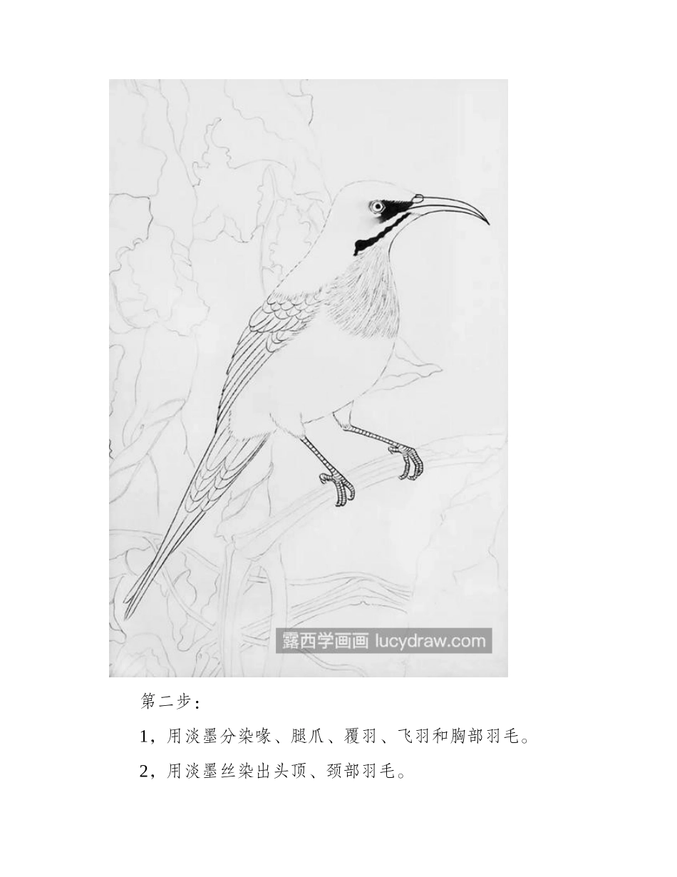 太阳鸟怎么画_月下老人工笔画步骤有哪些_工笔画教程_第2页