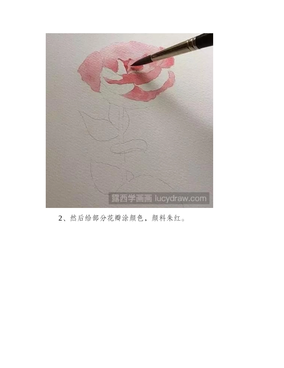 水彩画教程：桔梗花的水彩画法水彩画教程_第2页