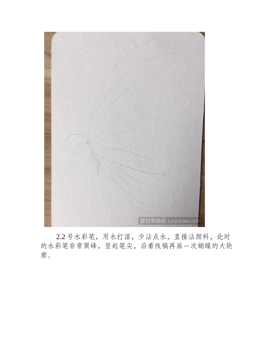 水彩画蝴蝶的透明翅膀教程是什么_水彩画教程1_第2页