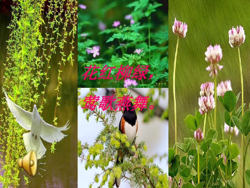 林燕珊——《燕子》PPT课件_第2页