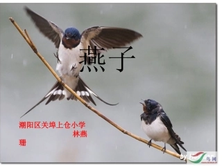 林燕珊——《燕子》PPT课件