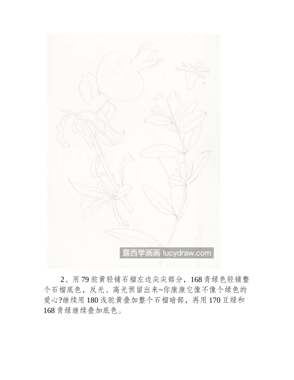 石榴花怎么画_步骤详解是什么_彩铅画教程_第2页