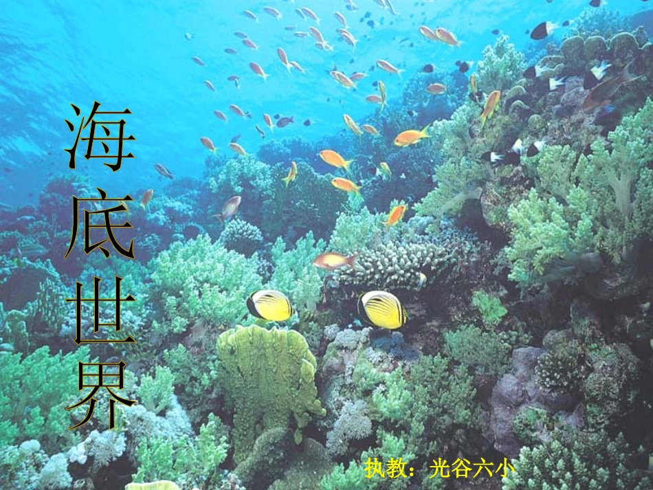 三年级语文海底世界课件_第1页