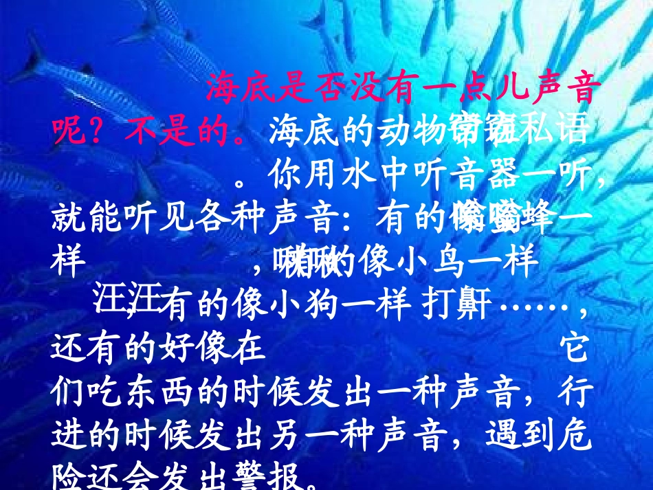 三年级语文海底世界课件_第2页