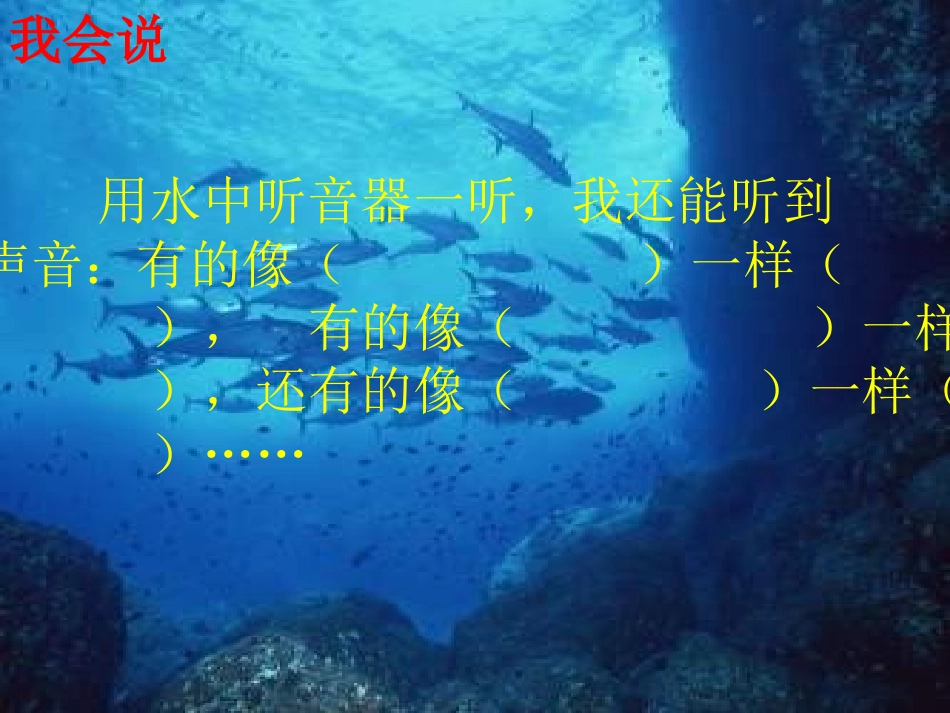 三年级语文海底世界课件_第3页