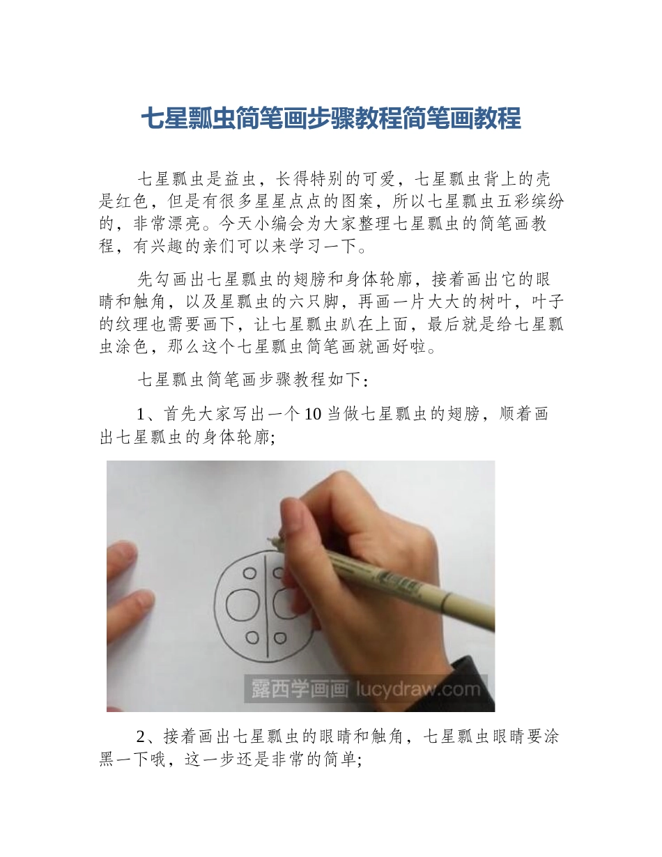 七星瓢虫简笔画步骤教程简笔画教程_第1页
