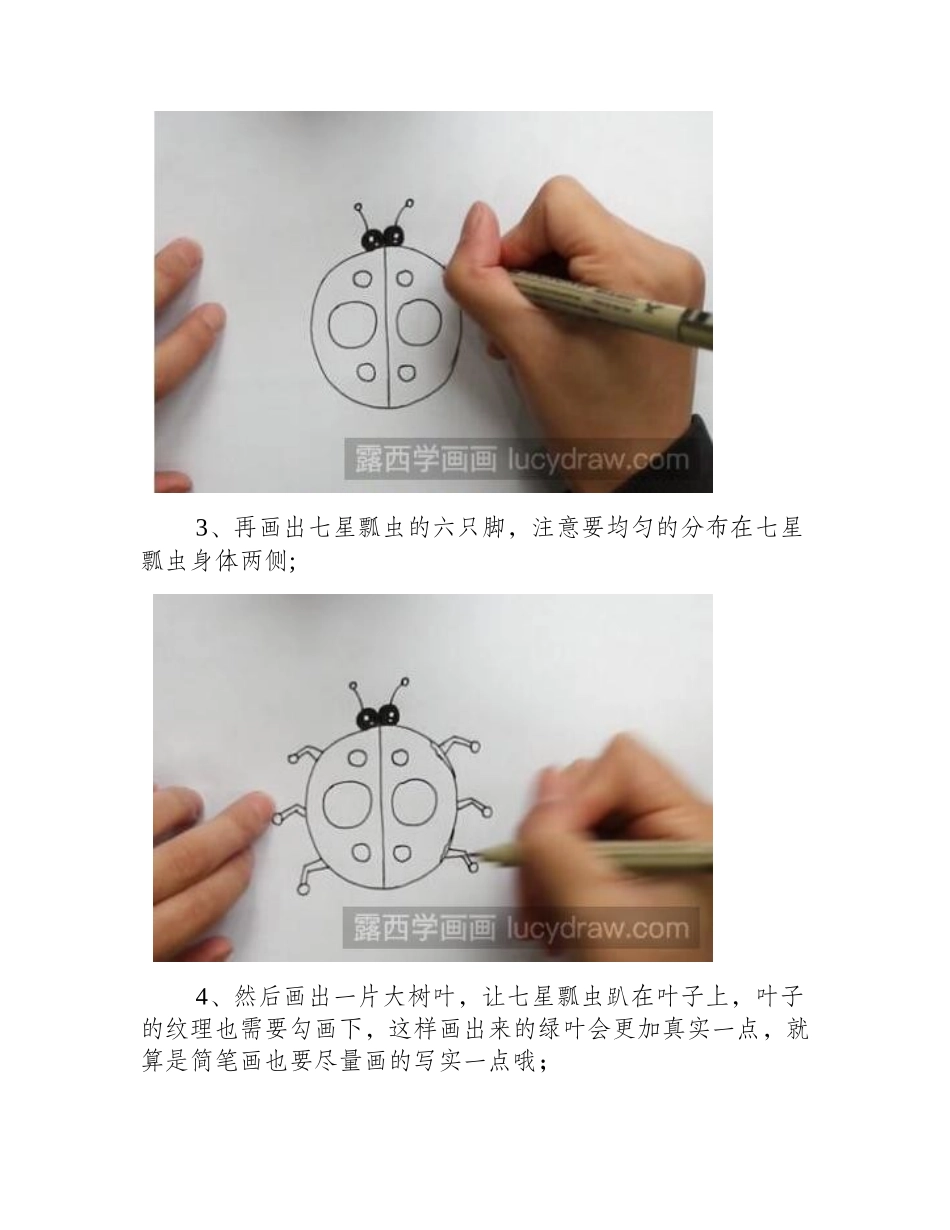七星瓢虫简笔画步骤教程简笔画教程_第2页