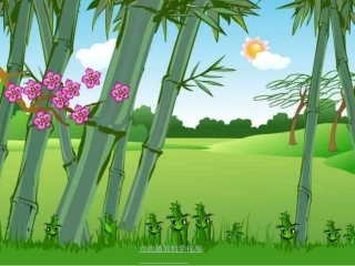 《笋芽儿》课件1