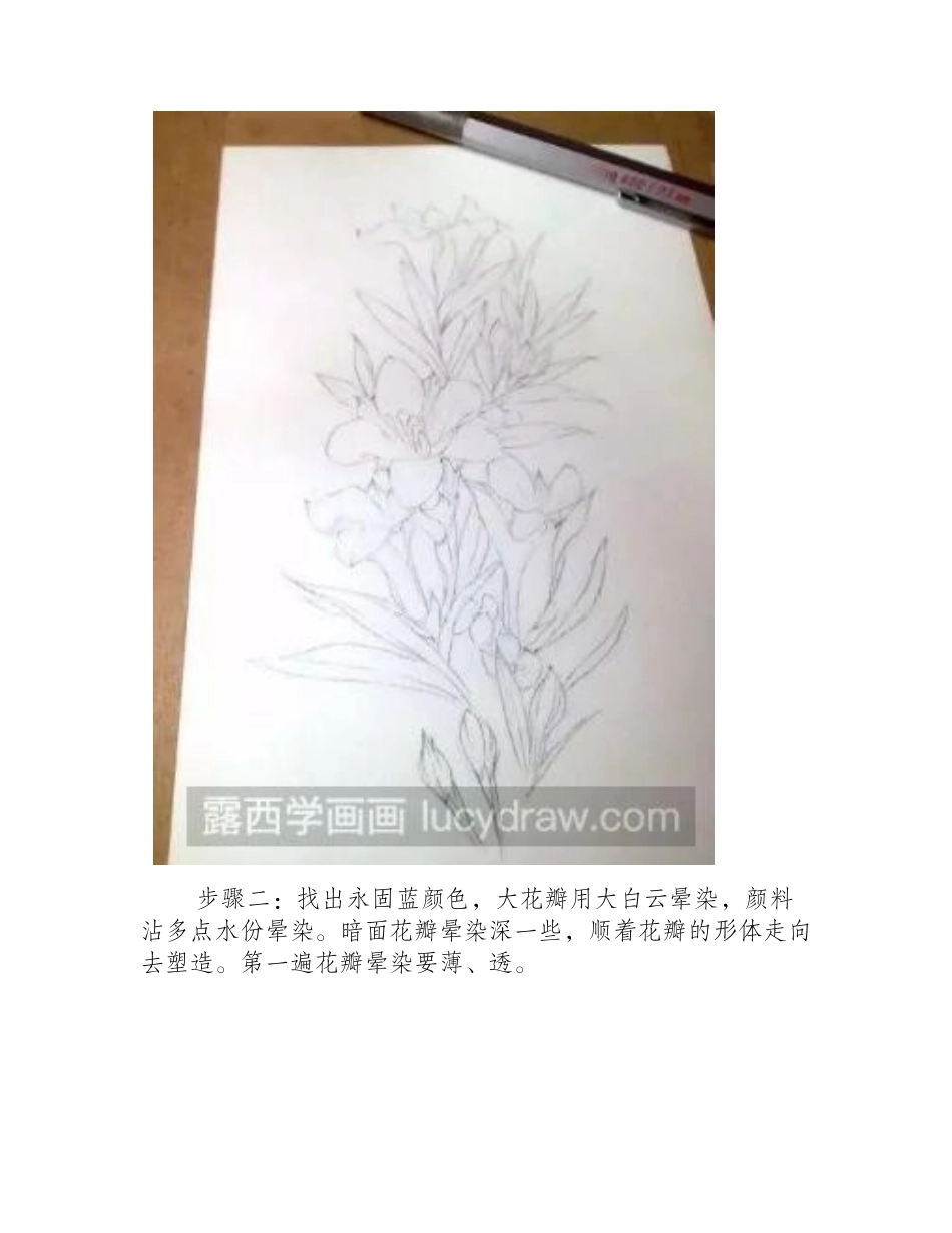 水彩花卉教程：教你画一株盛开的鲜花水彩画教程_第2页