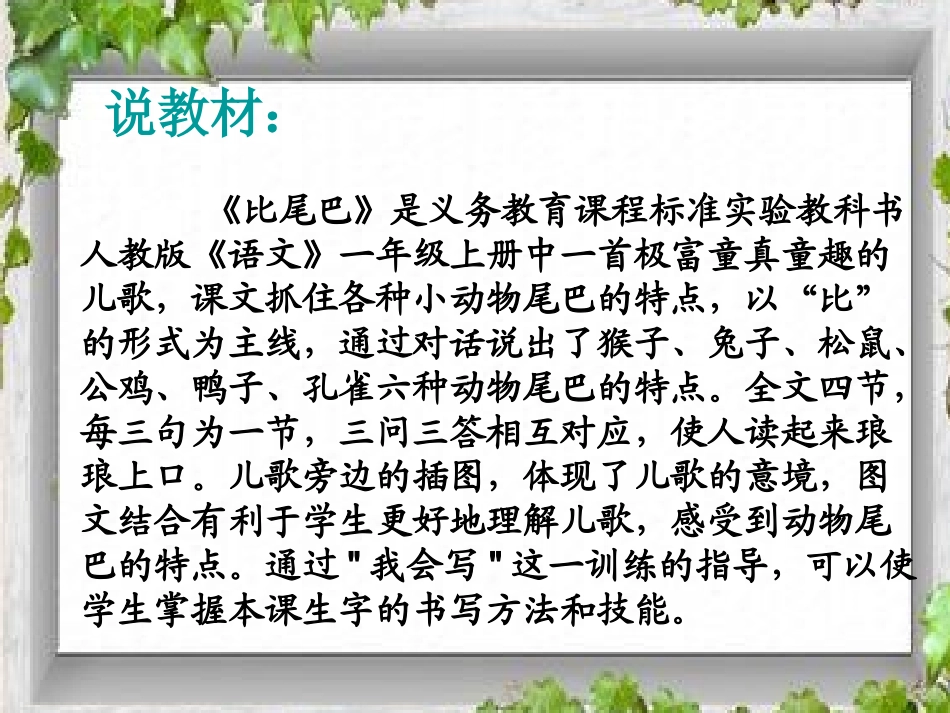 比尾巴说课课件_第3页