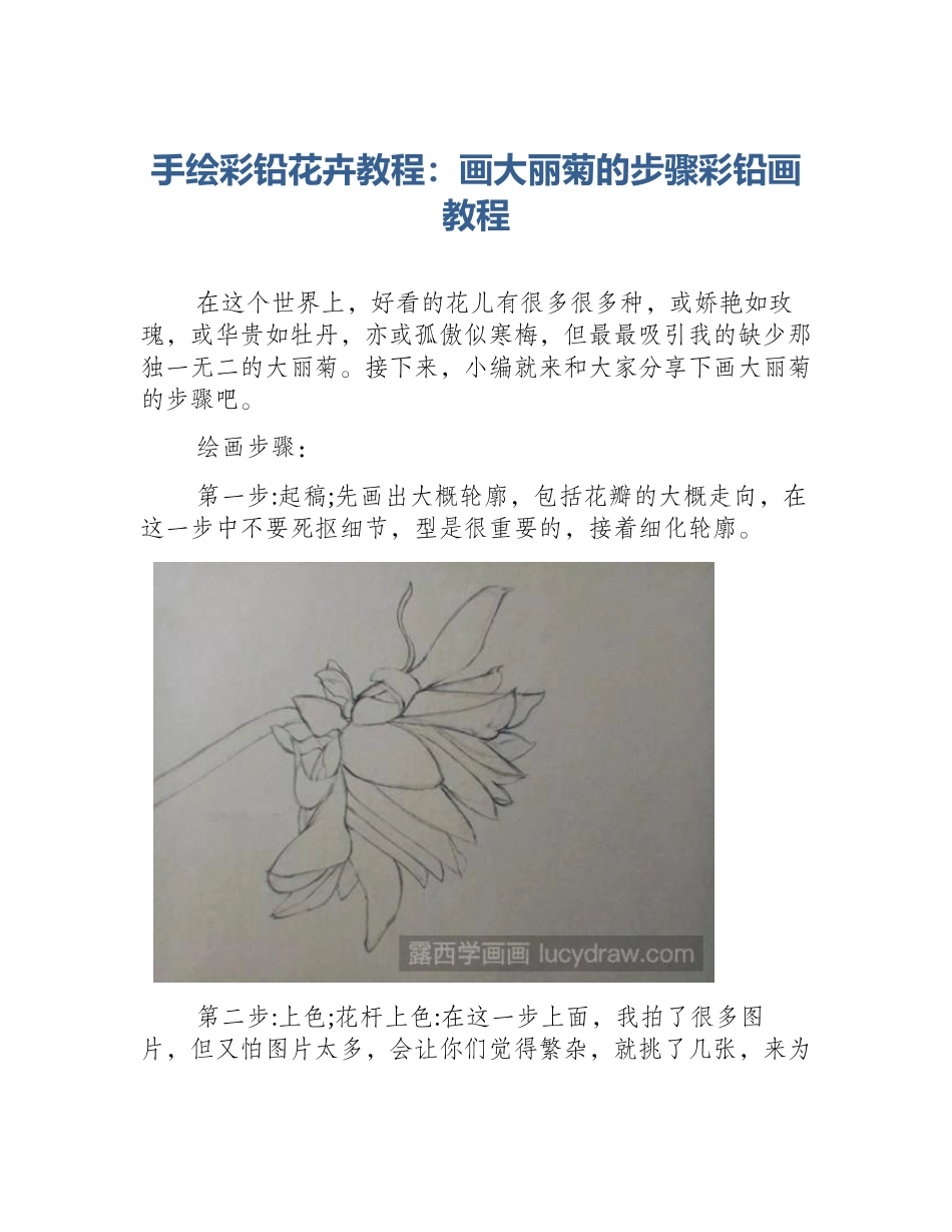 手绘彩铅花卉教程：画大丽菊的步骤彩铅画教程_第1页