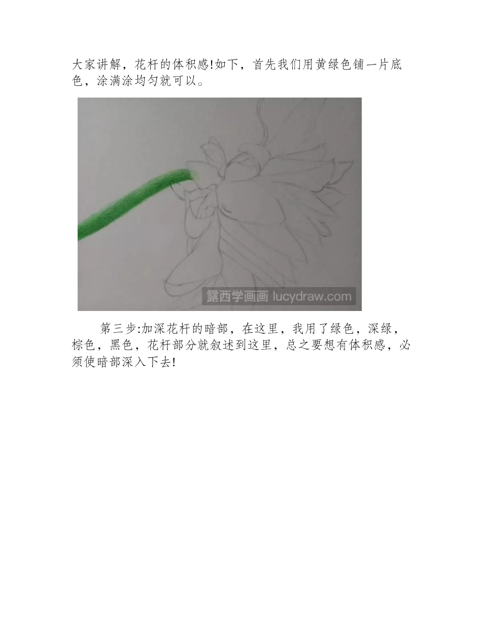 手绘彩铅花卉教程：画大丽菊的步骤彩铅画教程_第2页