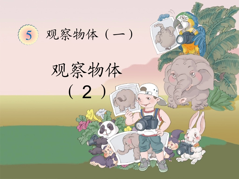 《观察物体（一）》教学课件_第1页