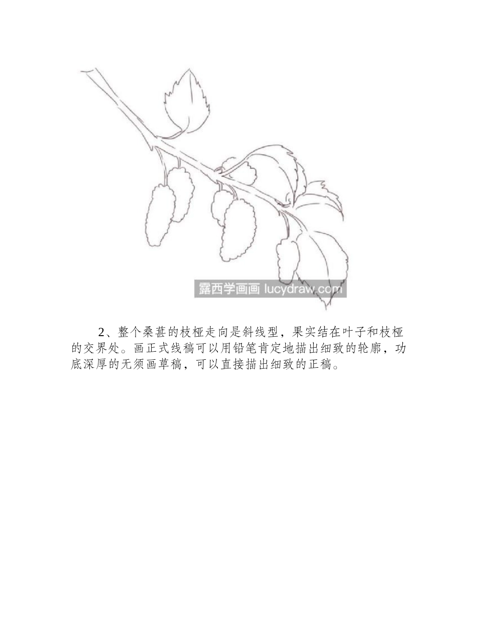 桑葚怎么画_超级详细的彩铅画步骤分享彩铅画教程_第2页