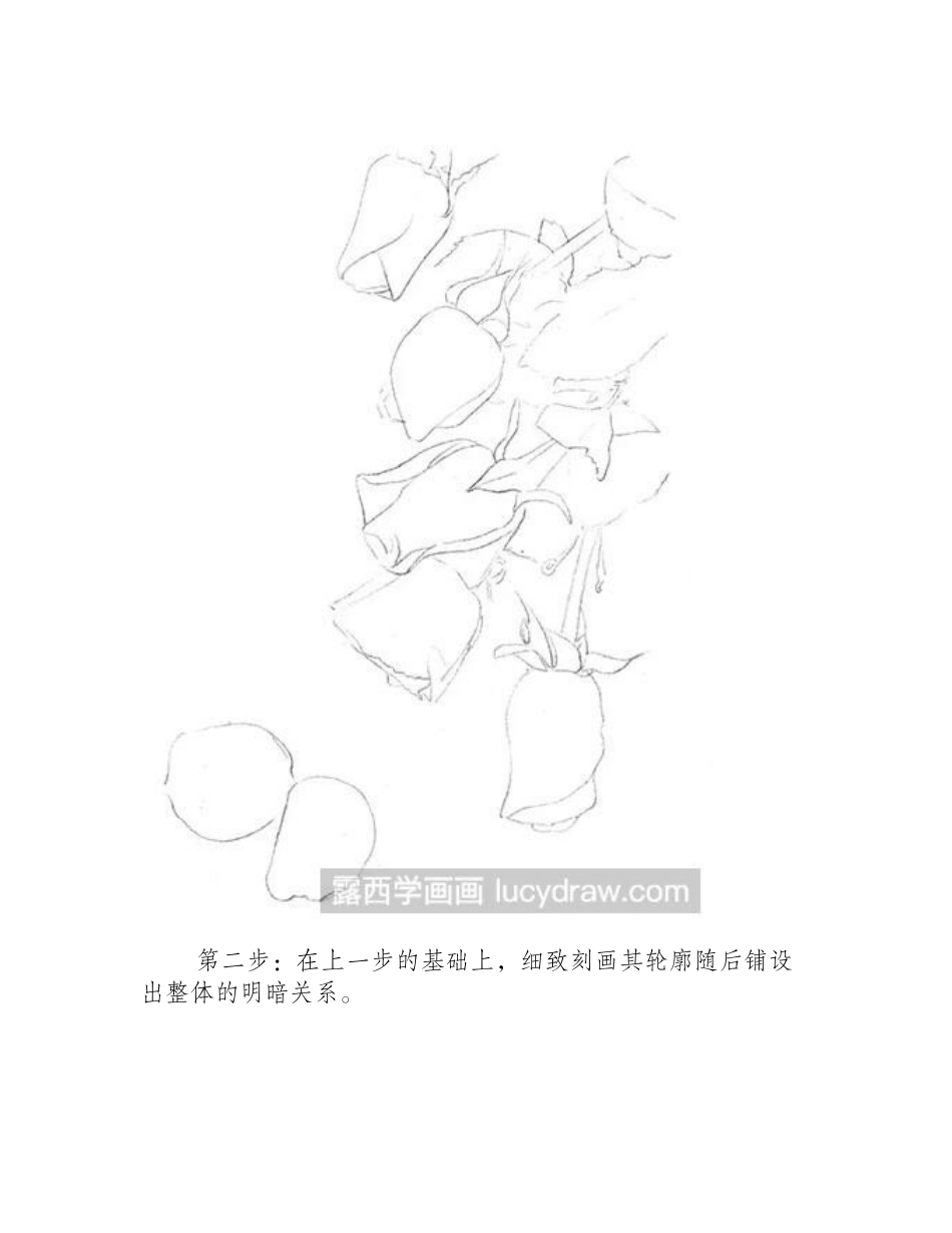 素描教程-怎么绘制玫瑰花素描教程_第2页