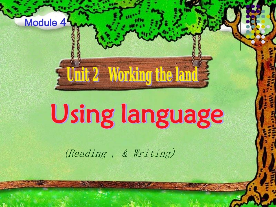 高一英语人教课标必修4Unit2usinglanguage_第1页