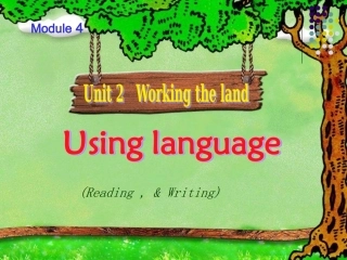 高一英语人教课标必修4Unit2usinglanguage