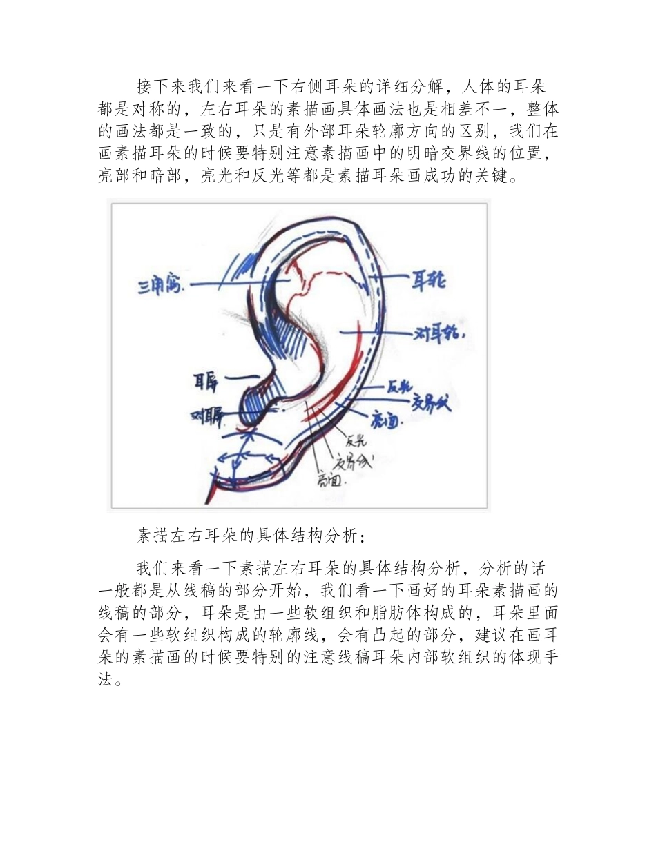 素描入门：素描耳朵画法的精讲教程素描教程_第2页