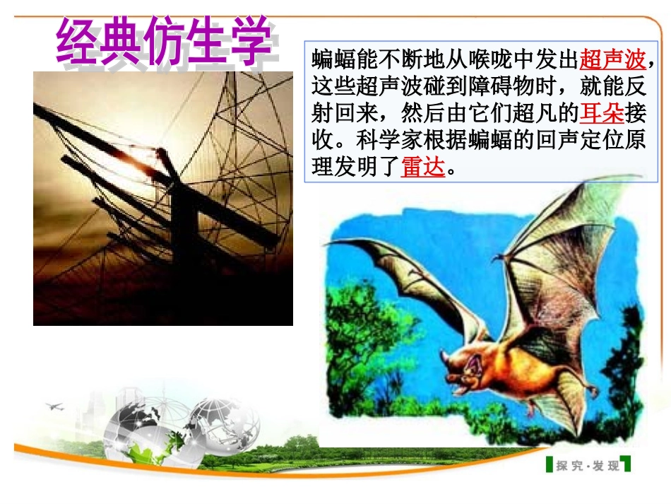 动物在生物圈中的作用2_第3页