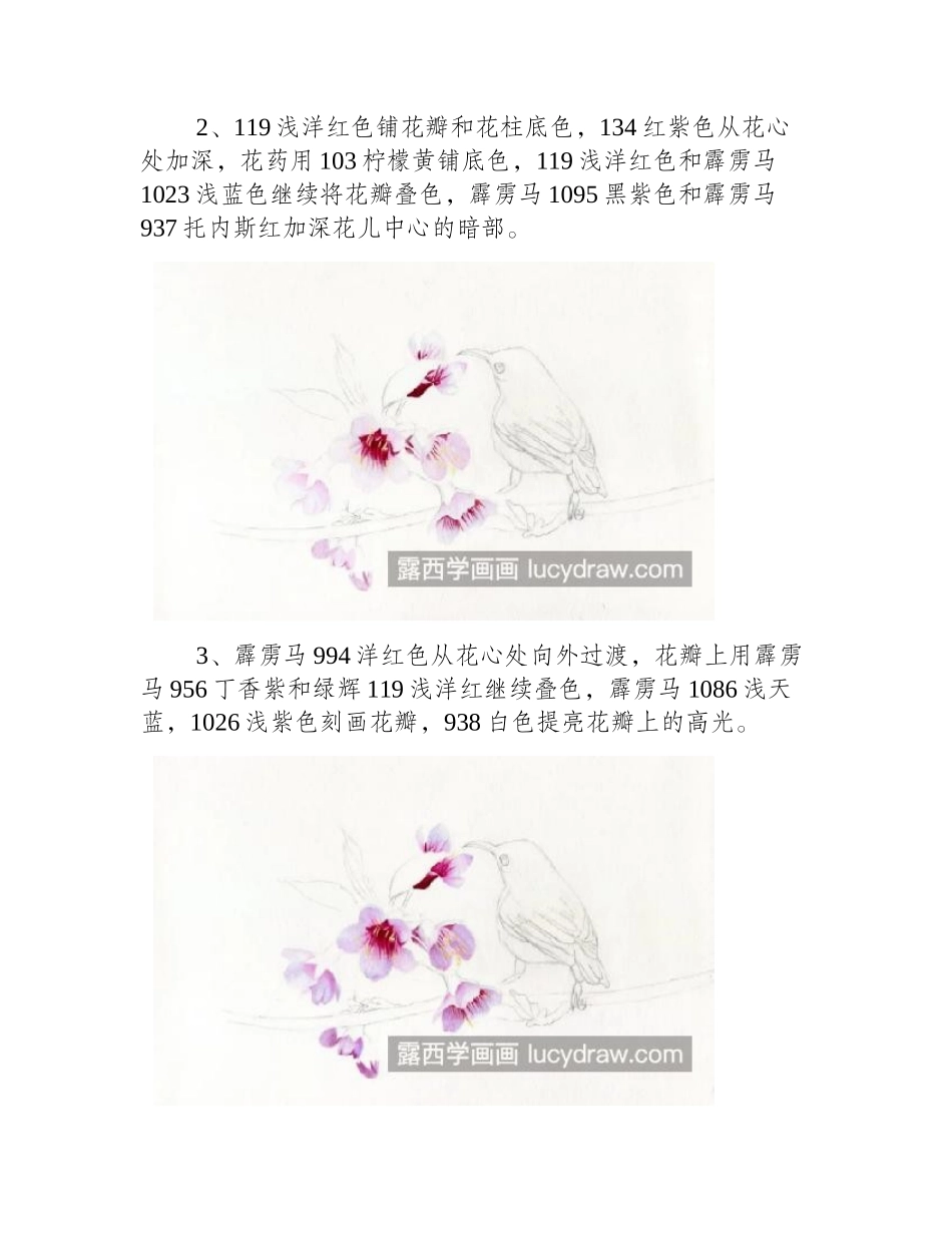 桃花小鸟怎么画_如何画粉嫩的桃花_彩铅画教程_第2页