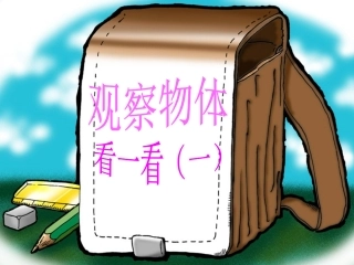观察物体看一看（一）课件（北师大版二年级上册数学课件）