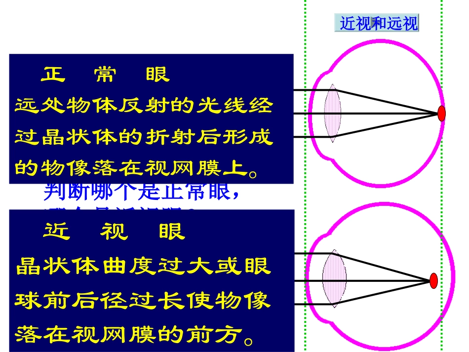 【备课资料】七年级生物下册第四单元第六章人体生命活动的调节复习课件（21PPT）_第3页