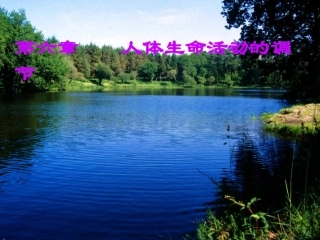 【备课资料】七年级生物下册第四单元第六章人体生命活动的调节复习课件（21PPT）