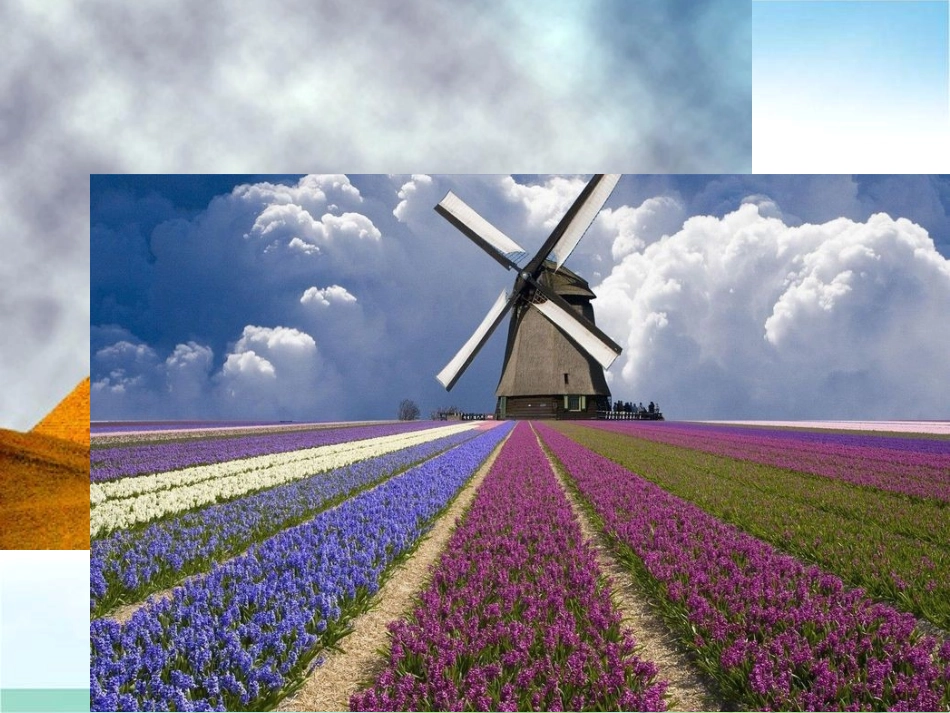 世界文化的多样性shuai_第2页