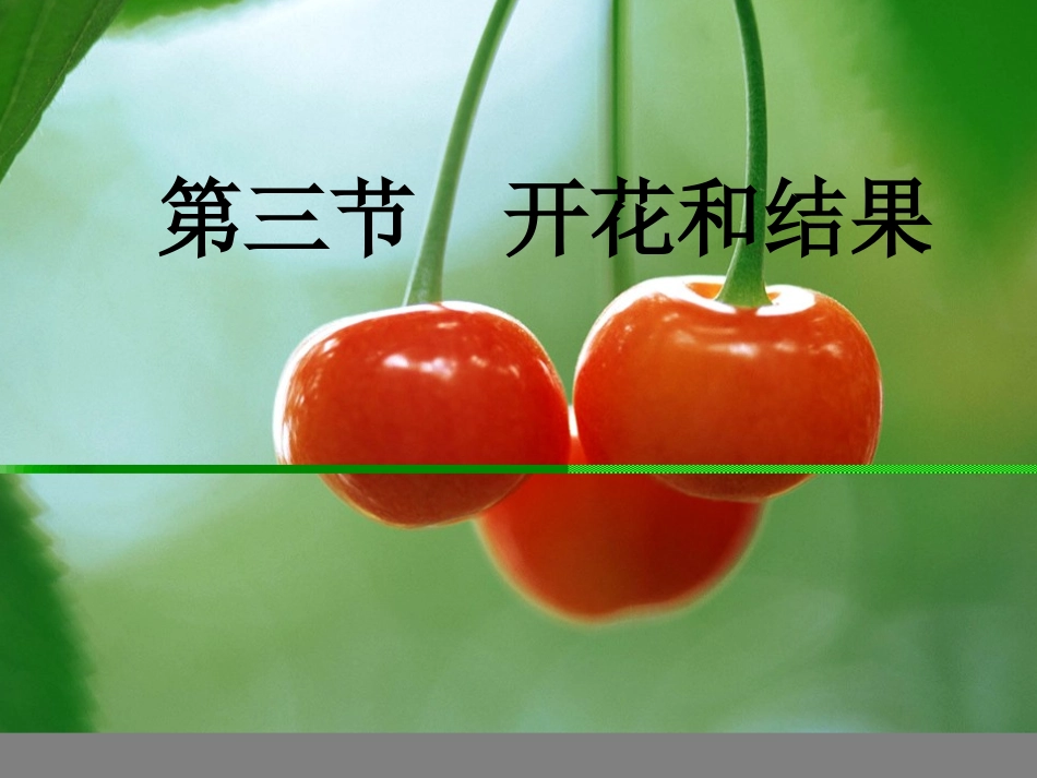 开花和结果 (2)_第1页