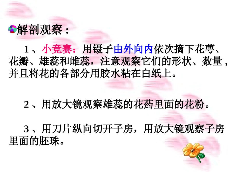 开花和结果 (2)_第3页