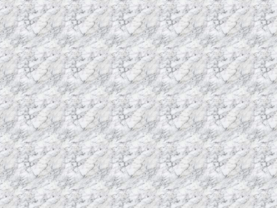 《咏雪》课件03_第1页