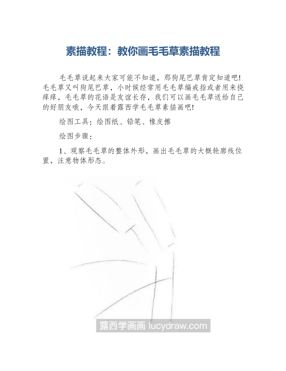 素描教程：教你画毛毛草素描教程_第1页