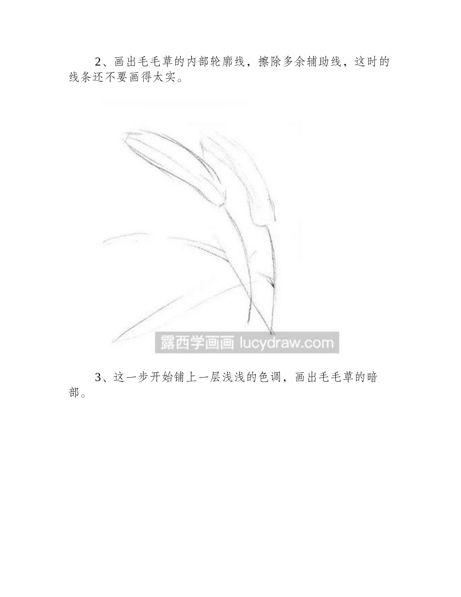 素描教程：教你画毛毛草素描教程_第2页