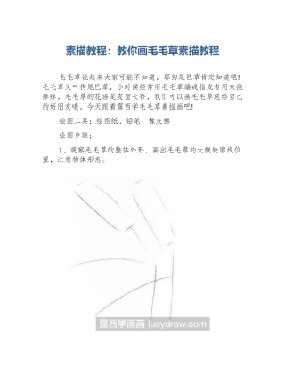 素描教程：教你画毛毛草素描教程