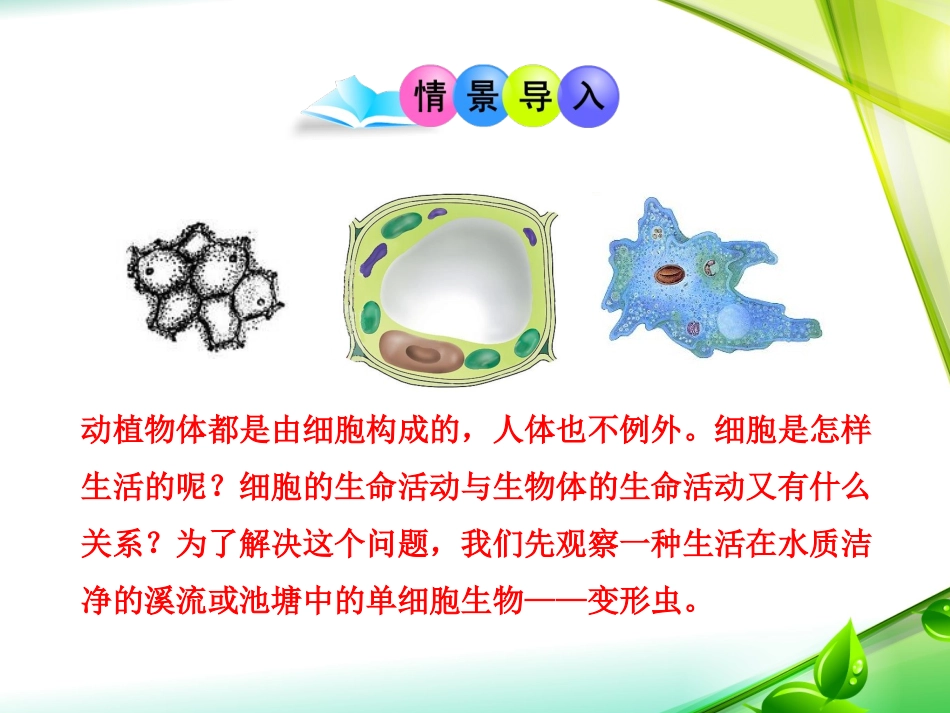 细胞是生命活动的单位_第3页