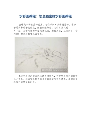 水彩画教程：怎么画蜜蜂水彩画教程