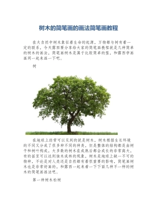 树木的简笔画的画法简笔画教程