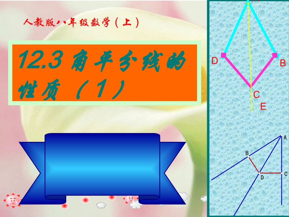 【精品课件一】123角的平分线性质_第1页